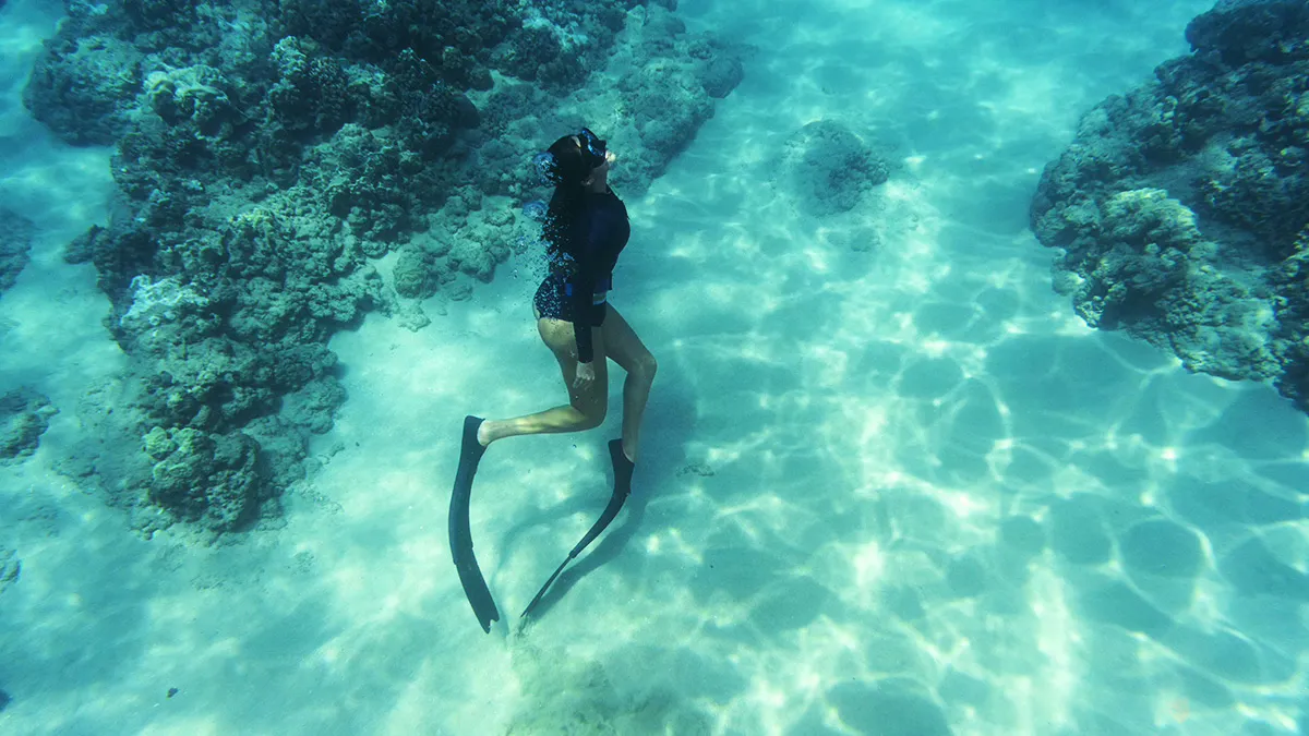 Freediving in San Blas: Unlock the Ultimate Underwater Experience