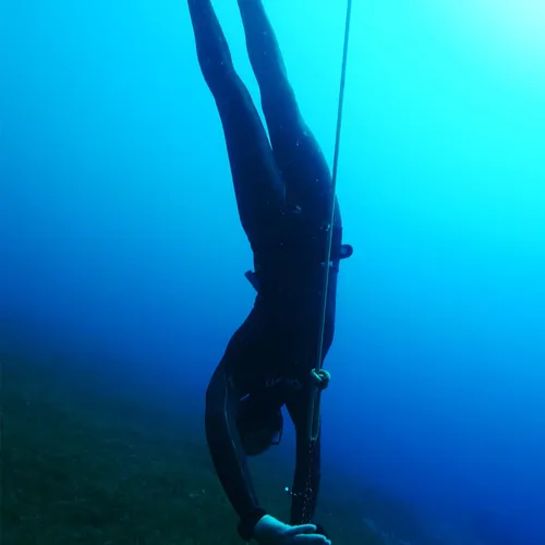 FreeDiving 3