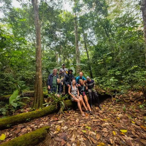 Jungle Trekking 2
