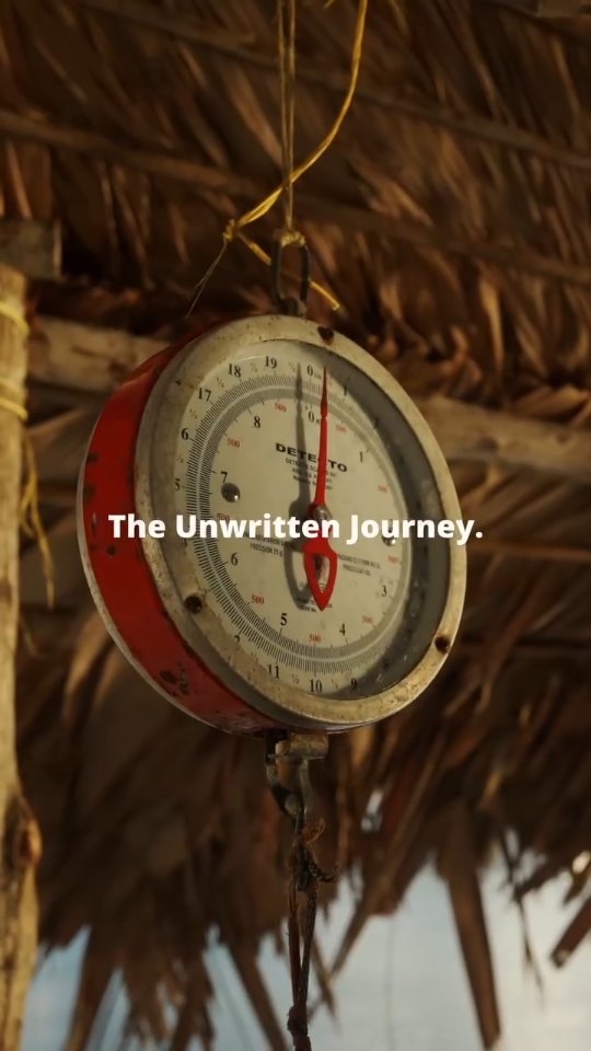 The Unwritten Journey. ✍️ Every voyage begins as a line on a nautical chart but ends as a deep mental transformation. The 2026 season is now open for those read