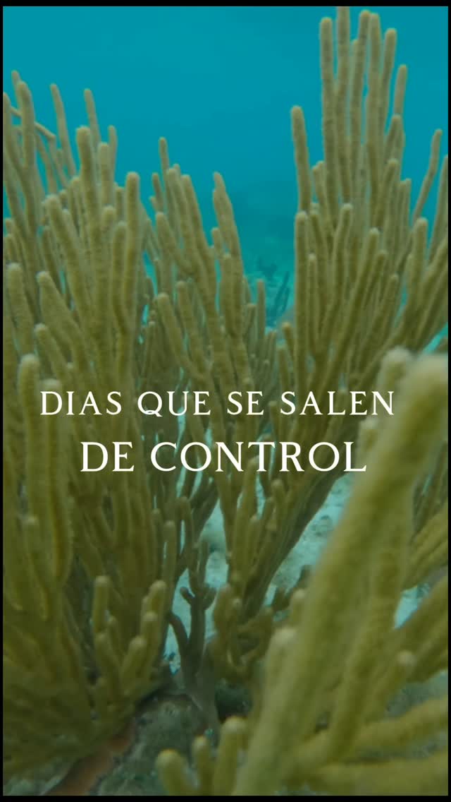 QUE HACER EN SAN BLAS? | Día 4 En San Blas nada es predecible… ni el clima, ni la ruta, ni lo que el mar decide regalarte ese día. 🌊 Hoy la naturaleza nos reco